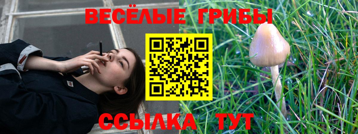 Галлюциногенные грибы мицелий  Вход с VPN  Орёл 